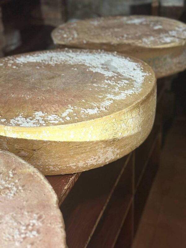 Tomme des Prince (20 dkg)