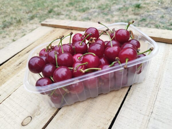 Meggy 'Èrdi bőtermő' - 500 gr
