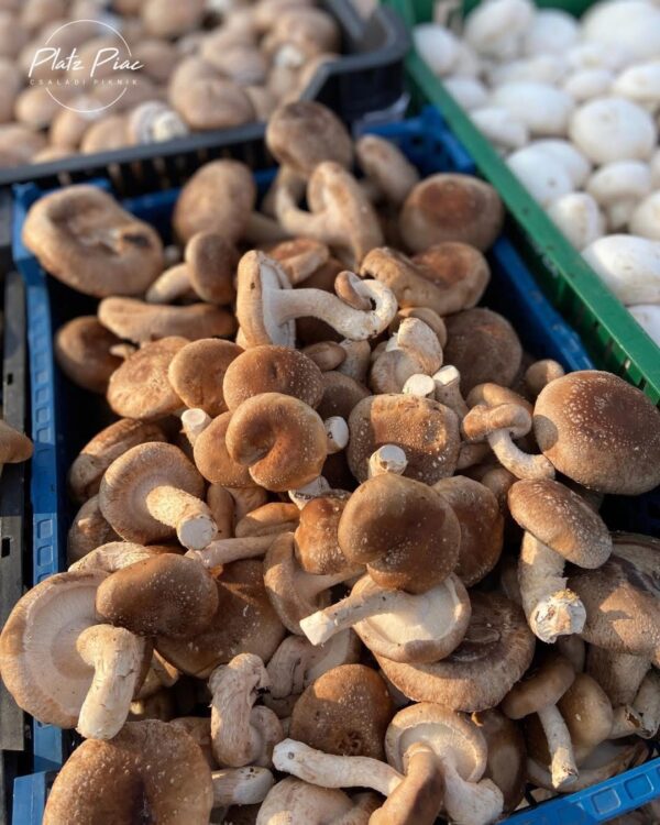 Shiitake gomba (200 g)