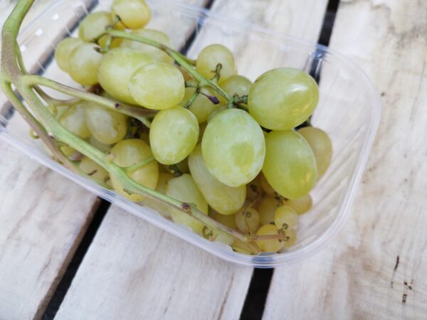 'Landis' szőlő (0.5 kg)