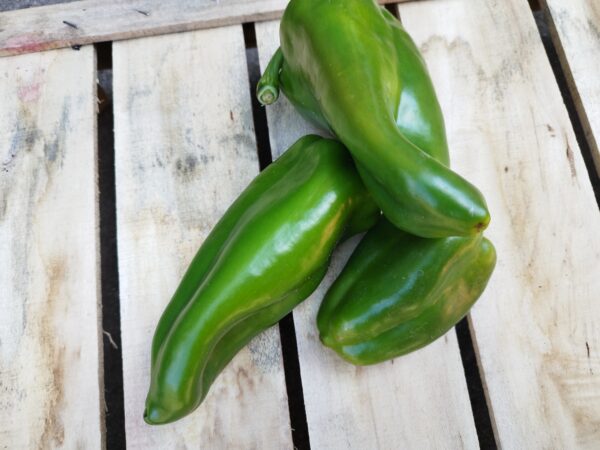 Zöld kápia paprika (0.5 kg)