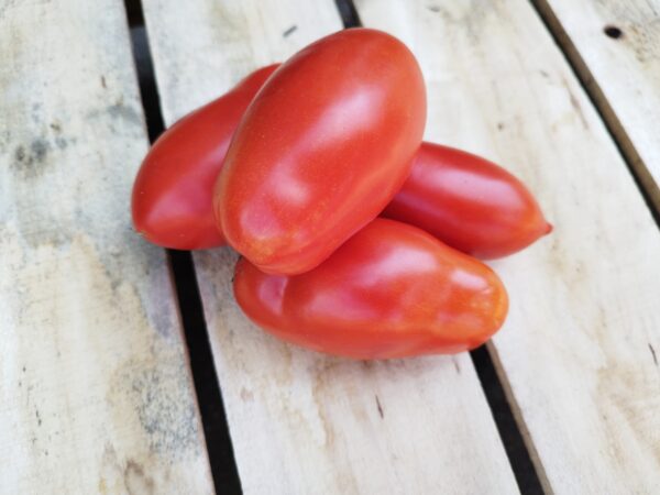 Lucullus paradicsom (0.5 kg)