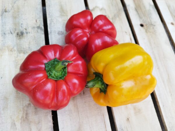 Pritamin paprika (0.5 kg)