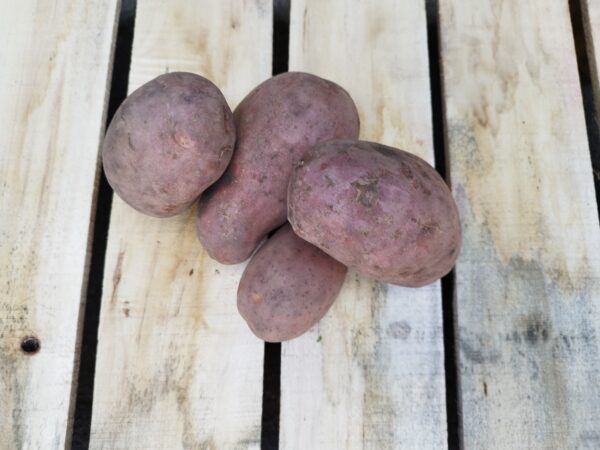 Burgonya (1 kg)